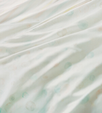 Sandesica’s Voice 2