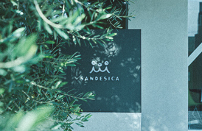 Sandesica’s Voice 3